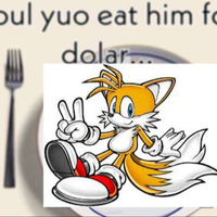 DisguisedRaccoon