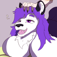 Biaskaz