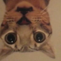 tku