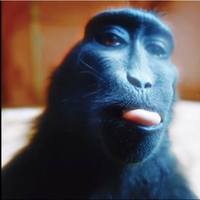 L07
