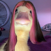 Corrupted Aj