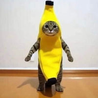 Miiu_