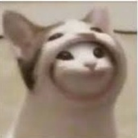 MichiKiwi