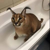 RodriSquash