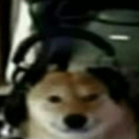 Ekonvv