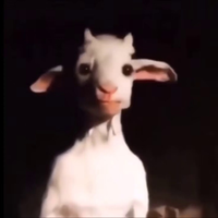 _Verkku_