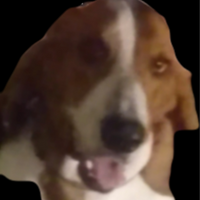 TheRowGamer