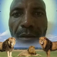 TheNewestUSA