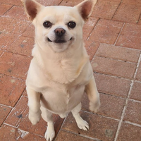 JJBillyBob