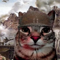 elgatopro999
