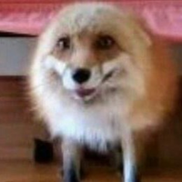 KetamineSexPup