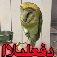 iSOUL
