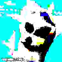 zlcx