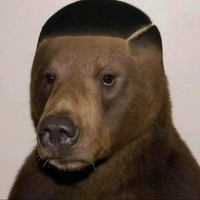 Verse GrizzlY