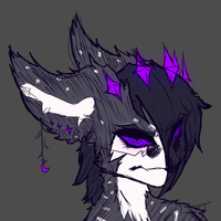 Nixcy
