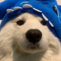 namenoted