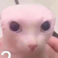 Dediu