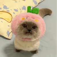 Chaewon1