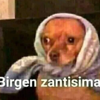 Oso_GT