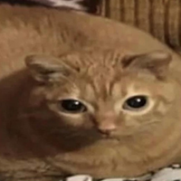 im_garf
