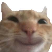 zvshhh