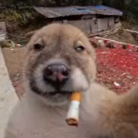 ChupadoDexoxota