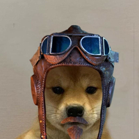 Nova_Ghost