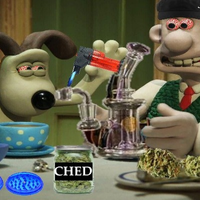 HoughDaBoof