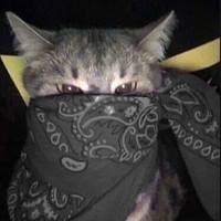 luukwtkn