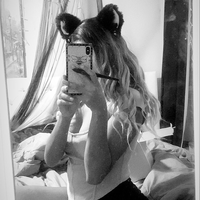 kittenela