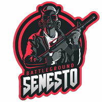 Senesto11