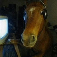 Mehtahlz