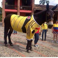 GolCaracol777