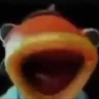 wetodd