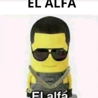 belixe