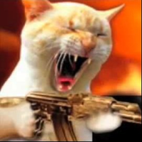Assassin_catt