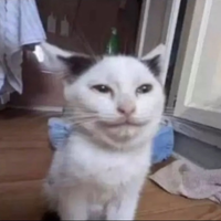 Muzimi