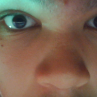 powrizz500