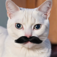 kitler kawkaw