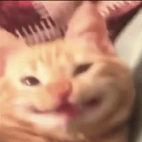 Alduwu