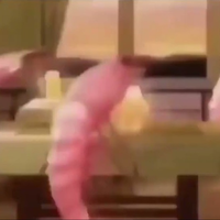 JafShrimp