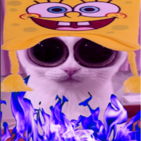 gomizzzleeeee