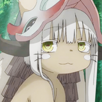 Bronachi