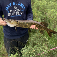 TheGrandPike