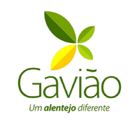 diogo_ruivo