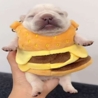 kazprince