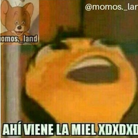 sebasMesgay