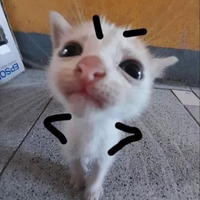 meowy3000