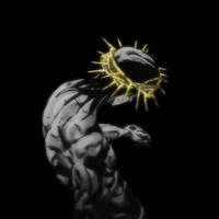 Elnarcista