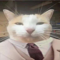 BigCat12